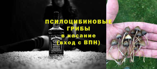 ешки Алексеевка