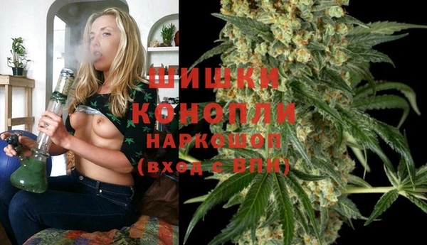винт Абаза