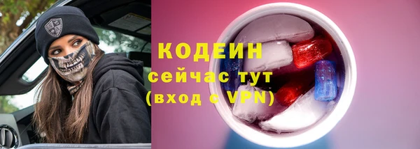 ECSTASY Алзамай
