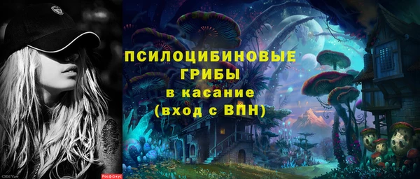 винт Абаза