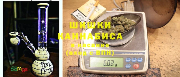 винт Абаза