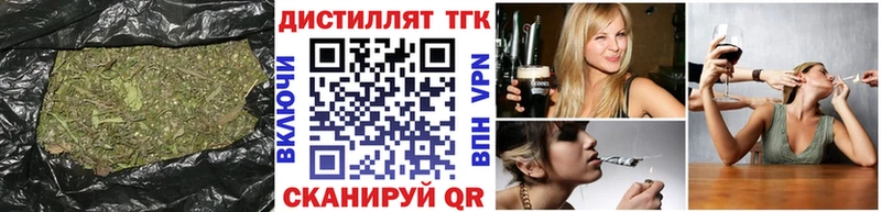 mega   Удомля  ТГК Wax 