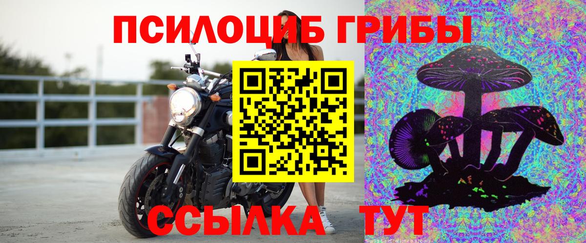 Галлюциногенные грибы MAGIC MUSHROOMS  Вход с VPN  Удомля 